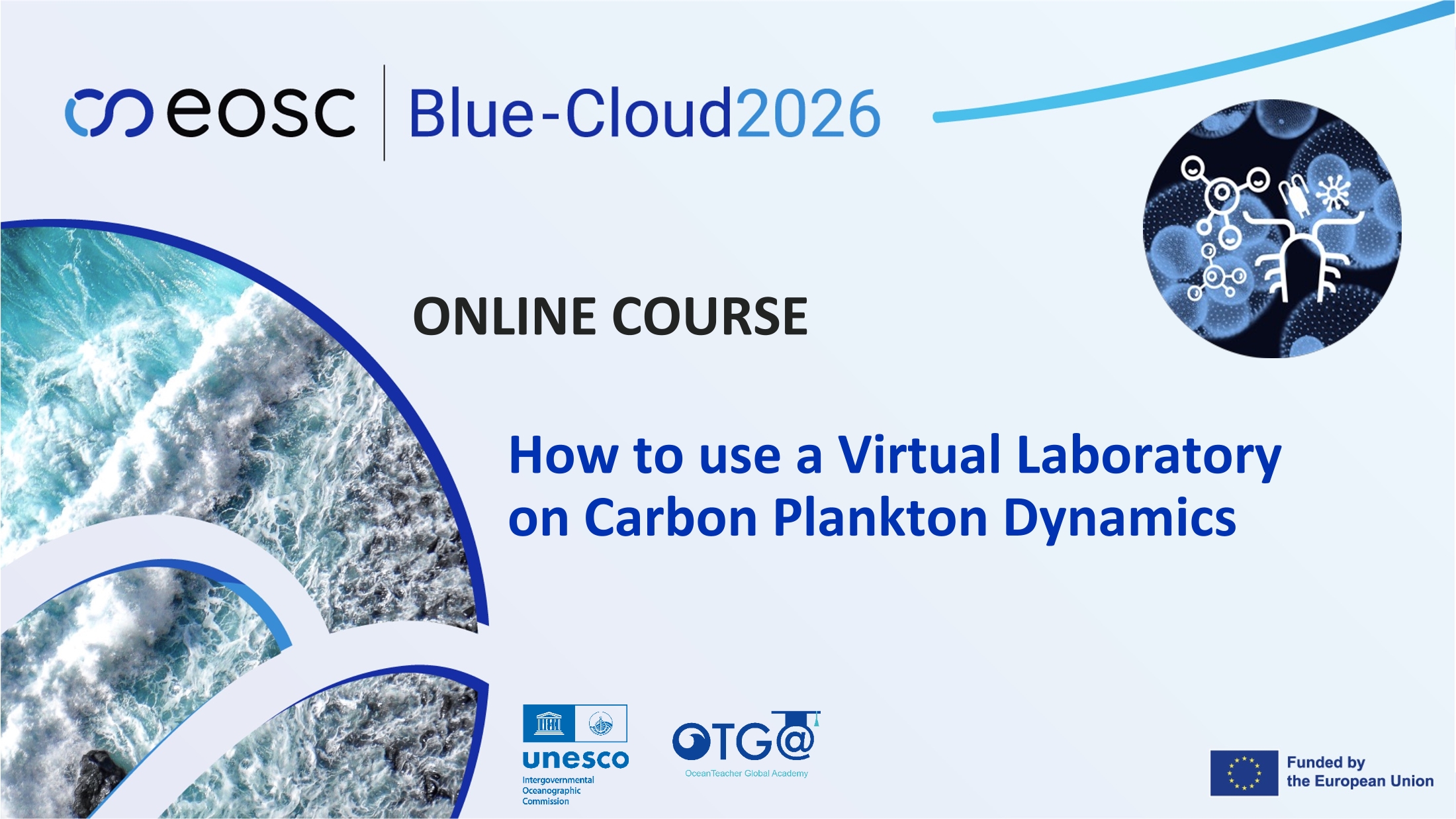 How to use a Virtual Laboratory on Carbon Plankton Dynamics