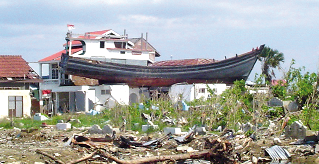 Runup can often be inferred from vertical extent of dead vegetation and from water line marks left on building walls.