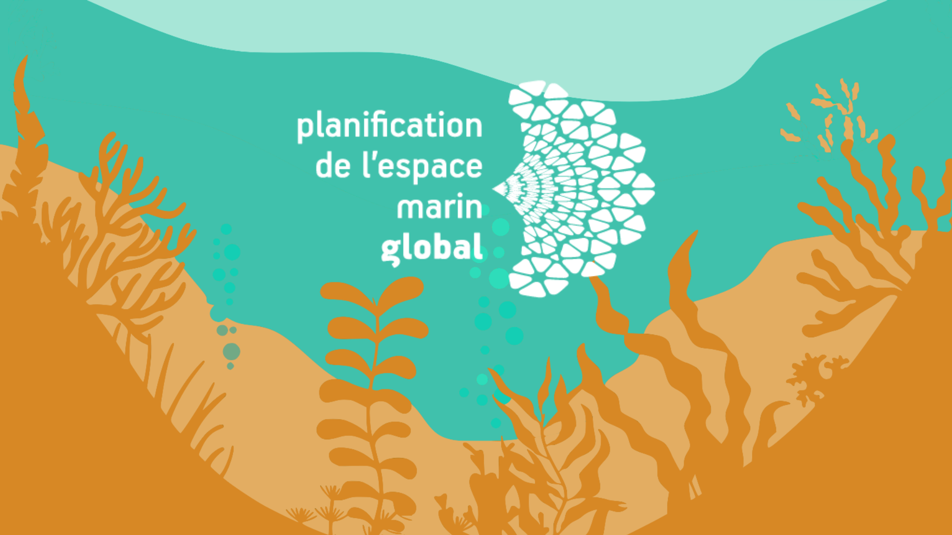 Cours MSPglobal sur la PEM respectueuse de la biodiversité et intelligente sur le plan climatique (FRANÇAIS)