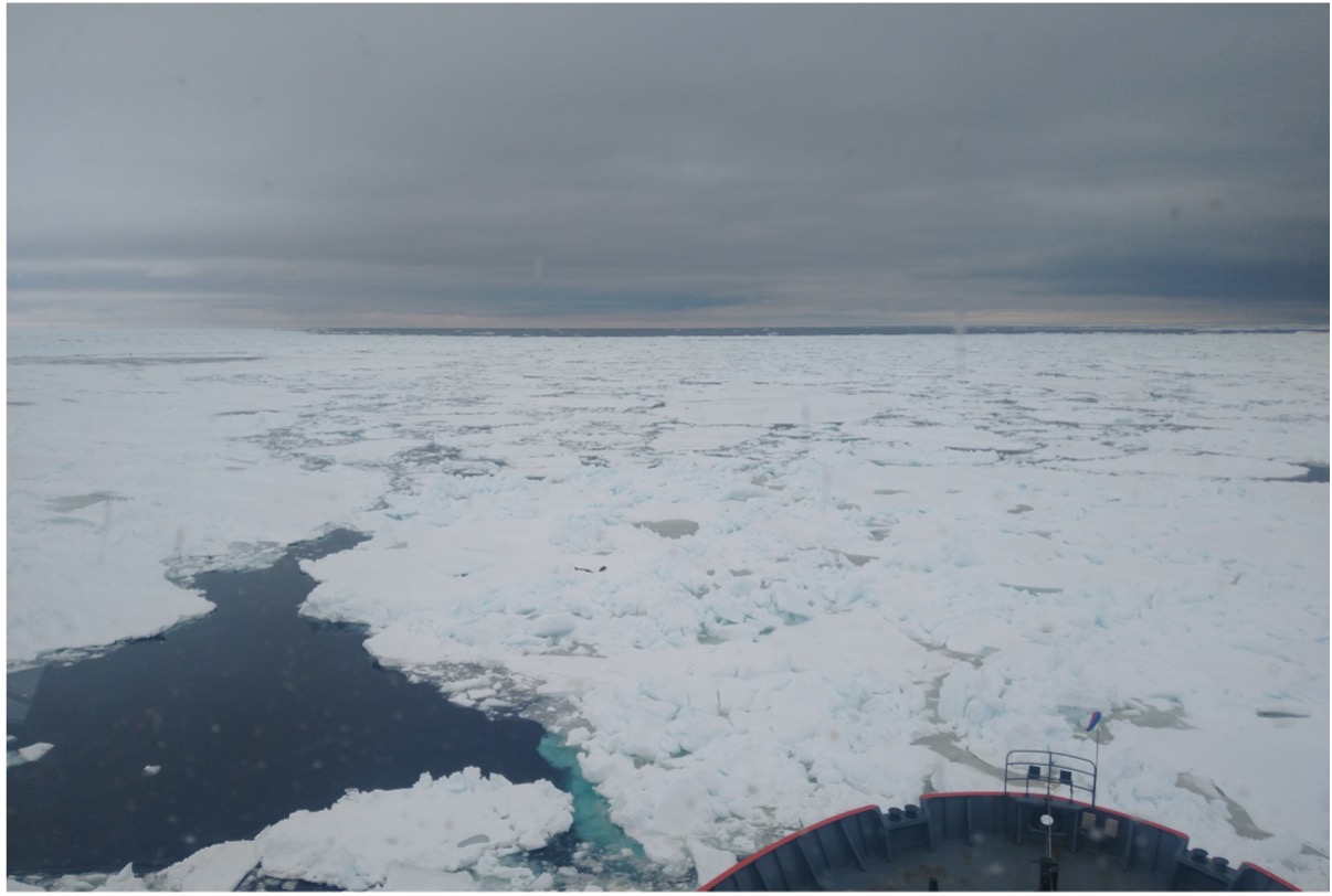 Observador de Hielo Marino y Témpanos _2026
