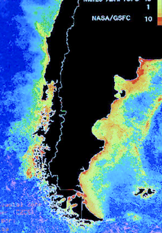 Ocean-colour data in climate studies