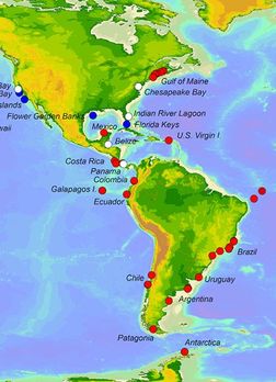MBON Pole to Pole of the Americas: using OBIS as data sharing and integration platform