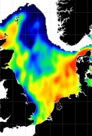 Contributing datasets to EMODnet Biology