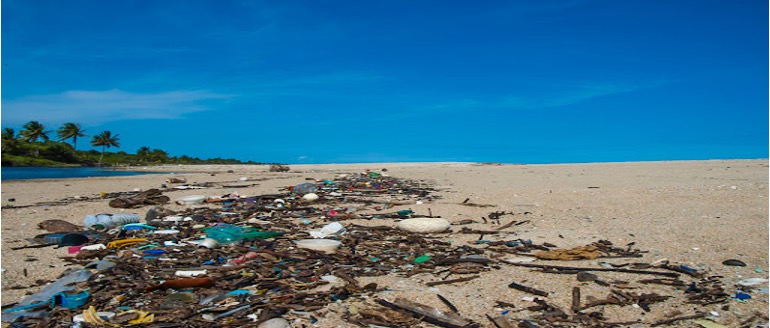 Contaminación marina por plásticos: de las causas a la gestión/Poluição marinha por plástico: dos condutores à gestão