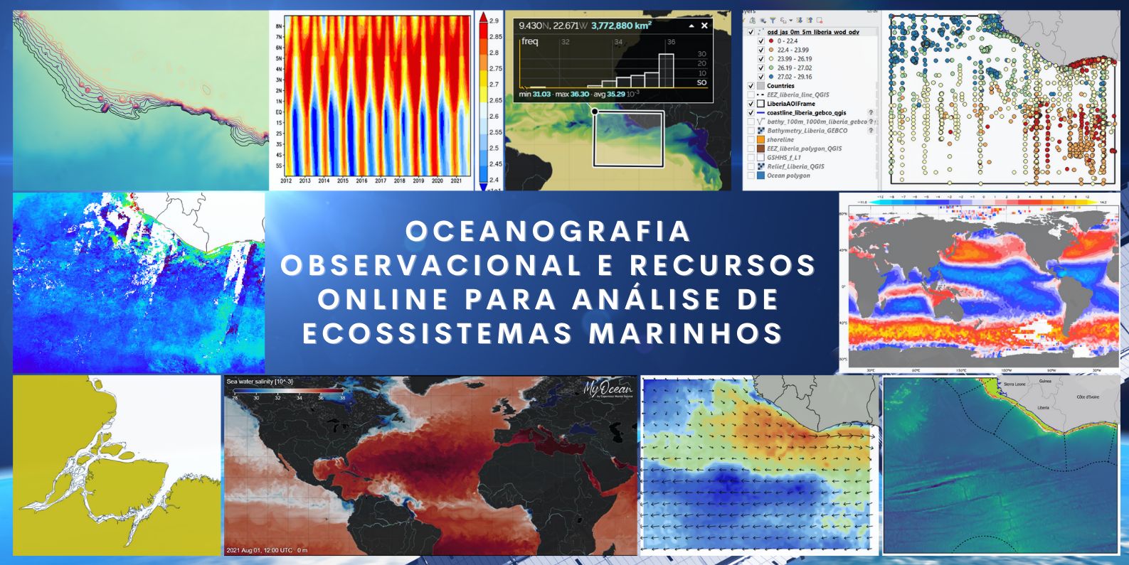 Oceanografia Observacional e recursos online para análise de ecossistemas marinhos 2023
