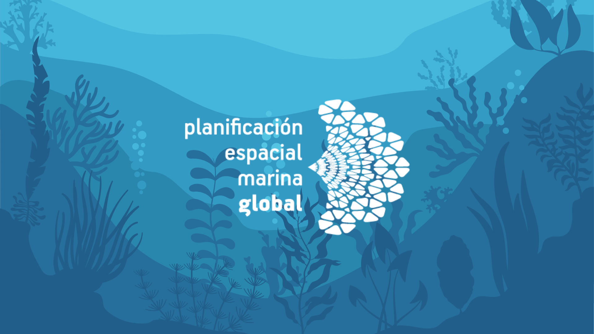 Curso de formación en línea de MSPglobal (ESPAÑOL)