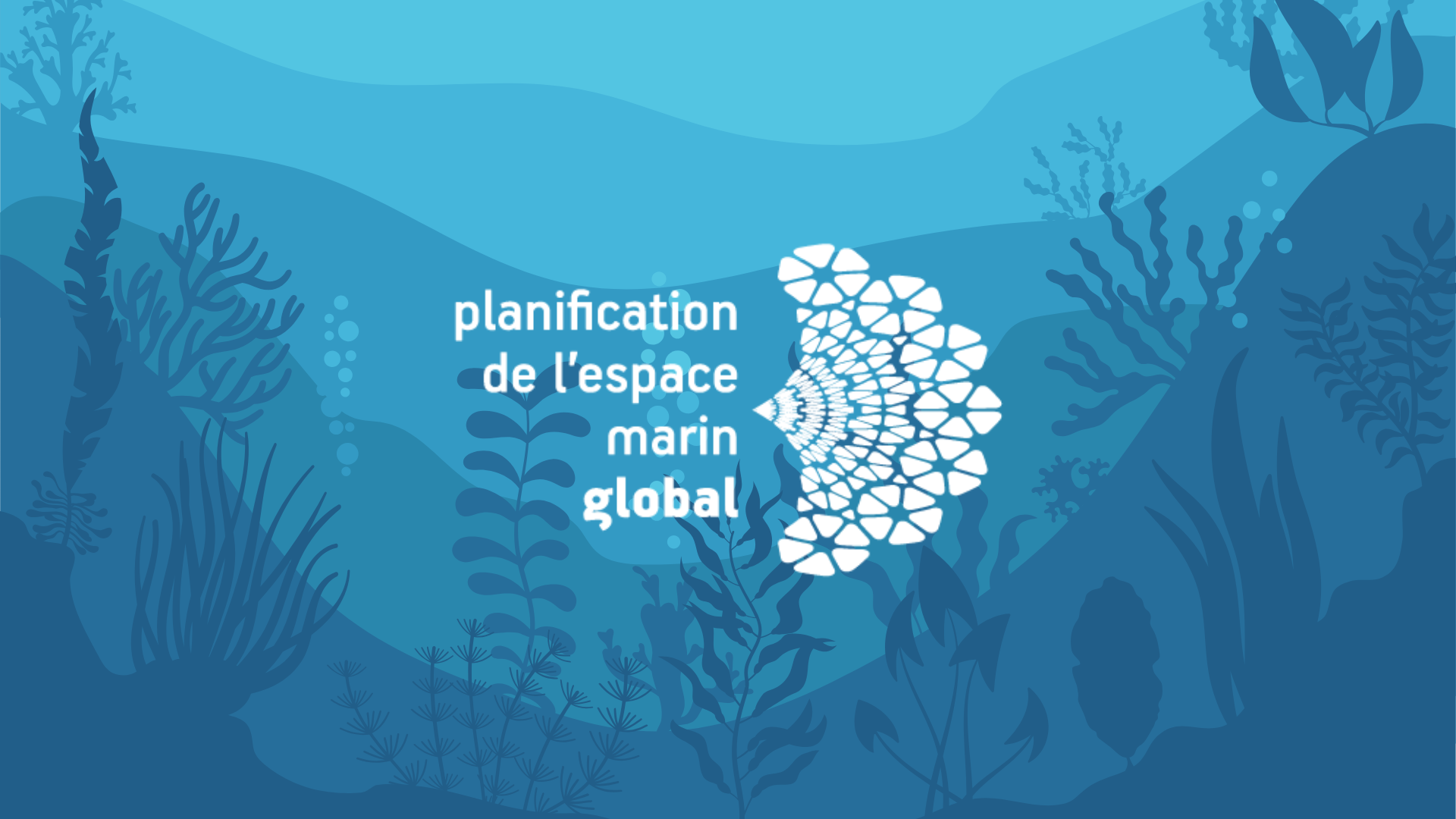 Cours de formation en ligne de MSPglobal (FRANÇAIS)